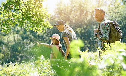 Eine Familie mit Kind bei einem Ausflug im Grünen
