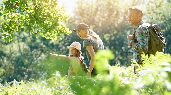 Eine Familie mit Kind bei einem Ausflug im Grünen