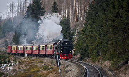 Die Brockenbahn fährt auf den Schienen, drumherum Wald