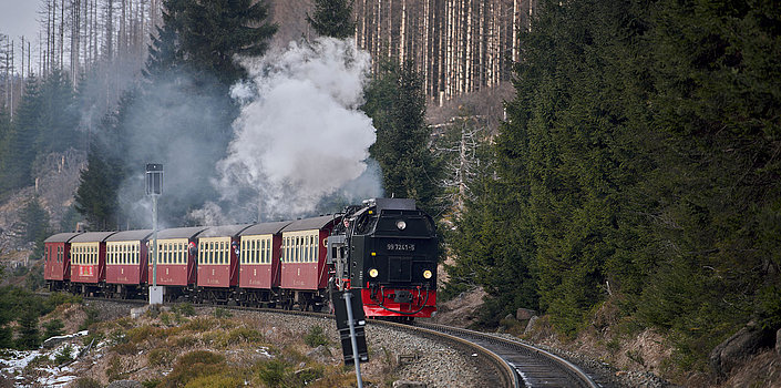 Die Brockenbahn fährt auf den Schienen, drumherum Wald